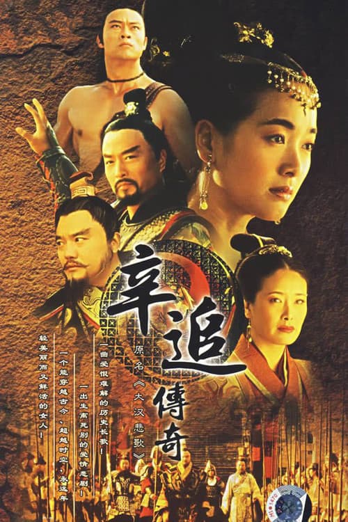 Poster for 辛追传奇