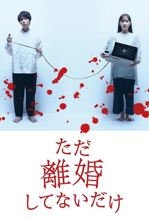 Poster for We Are Just Not Divorced