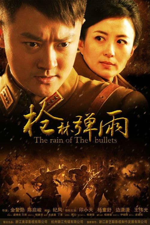 Poster for 枪林弹雨