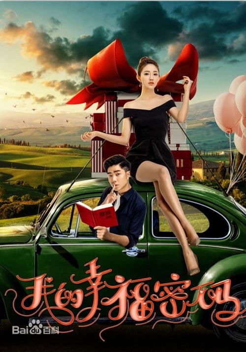 Poster for 我的幸福密码