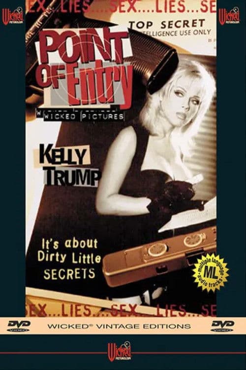 Poster for Point of Entry