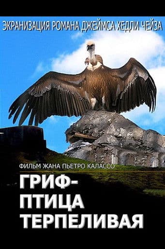 Poster for The Vulture Is a Patient Bird