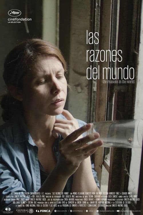 Poster for The Reasons in the World