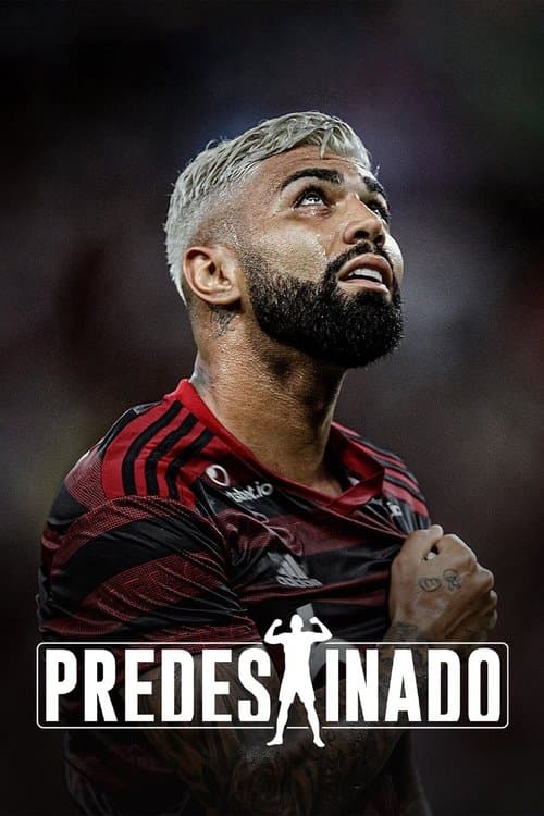 Poster for Predestinado