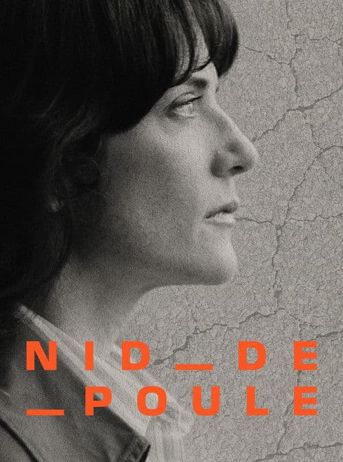 Poster for Potholes - Are our roads a public hazard?