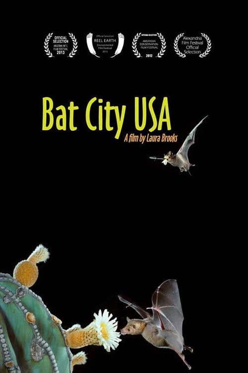 Poster for Bat City USA