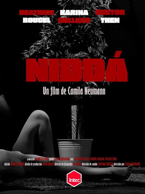 Poster for Niddá